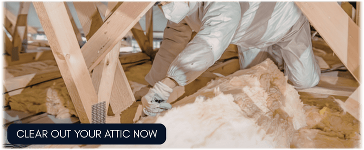 Attic Cleaning Washington DC